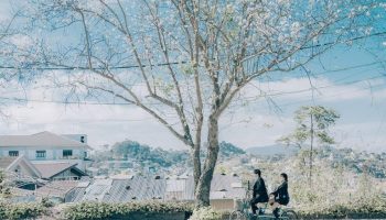 Đi du lịch Đà Lạt mùa nào đẹp nhất? - ALONGWALKER