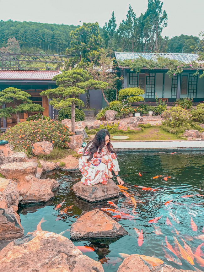 Khám phá Vườn Quê Đà Lạt: “Nhật Bản thu nhỏ” giữa núi rừng Lâm Đồng - ALONGWALKER