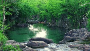 Khám phá suối Trúc Tây Ninh - ALONGWALKER