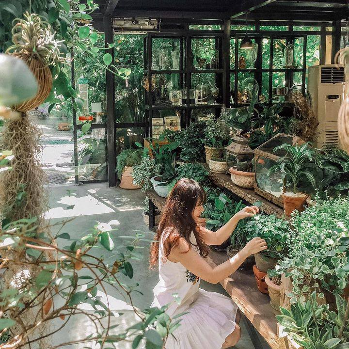 Top những quán cafe đẹp ở Hà Nội - ALONGWALKER