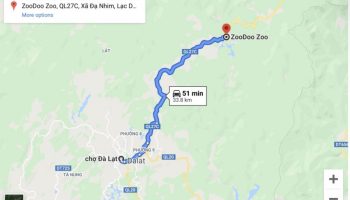 phú quốc, kiên giang, vườn thú zoodoo đà lạt có gì vui và đặc sắc?