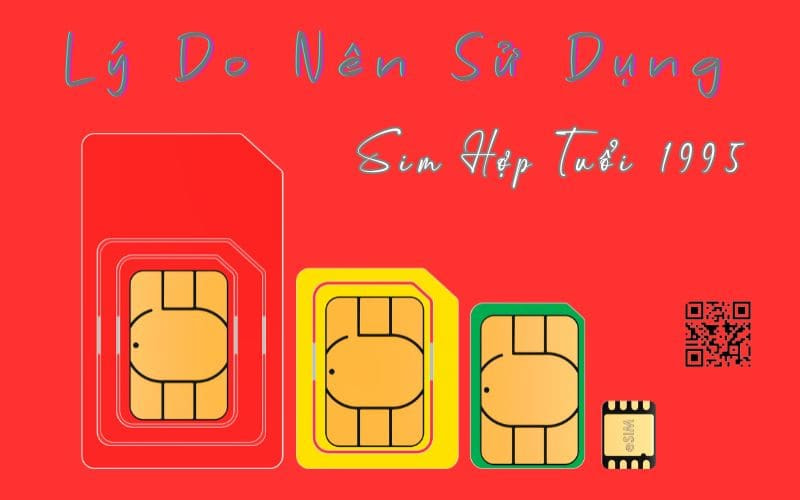 Tìm sim phong thuỷ hợp tuổi 1995 - Mua Sim