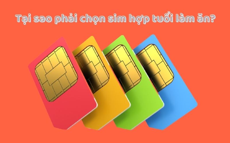 Sở hữu sim hợp tuổi làm ăn. Bí kíp của người thành đạt